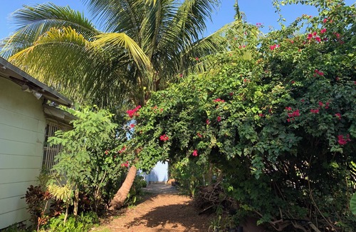 Little Haiti Cottage | Private cottage in Miami