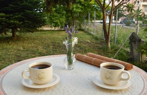 Ioannina House | Private Room Sunny Retreat with a Garden Terrace