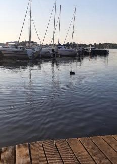 Ostroda Apartment | Przystań parking ogródek blisko jeziora i mariny dla jachtów