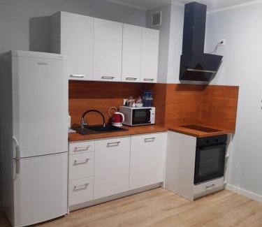 Plock Apartment | Przytulny Apartament na Strzeleckiej
