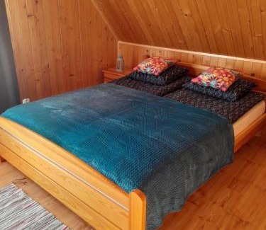 Baligrod House | Pstrokata chata