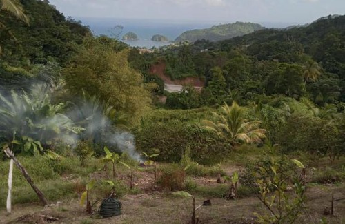 Castle Bruce Other | PT Jardin Farm Stay