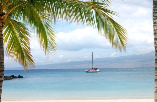 Kamuela House | PUALANI VILLA Single Level 4BR KaMilo Home with Pool and Cottage
