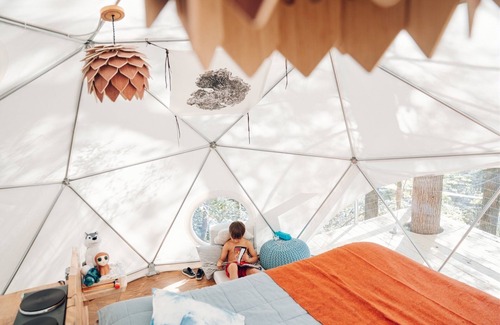 Rogers Hotel | Puma Dome Treehouse: part of the dome town village