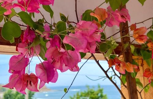 Punta Veleros Hotel | PUNTA VELEROS ROOFTOP