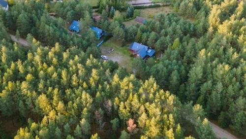 gmina Karsin Cabin | Qubalonka Saunarium Bory Tucholskie