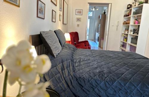 Nepszinhaz negyed Apartment | Rákóczi Boulevard 47