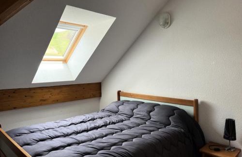 Peyragudes Apartment | Résidence Balcons Du Soleil 1 - T3/6pers BALCONS DU SOLEIL 63- Peyresourde MAE-9544