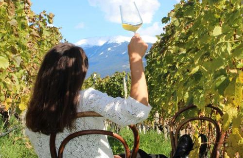 Albions Apartment | RÖCK Weingut - winery