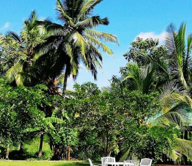 Anuradhapura Cabin | Rajarata Family Resort