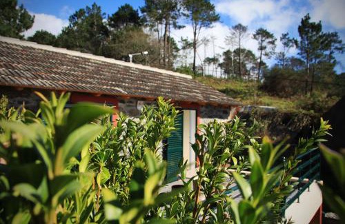 Calheta House | Raposeira Chloe T2