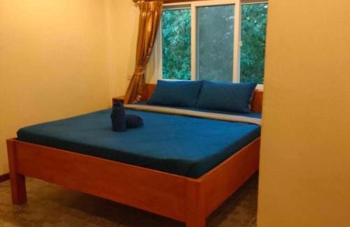 Thong Sala Hotel | Ratatouille Guesthouse Koh Phangan