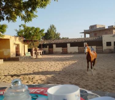 Rohet Hotel | Rawla Anand Rohet