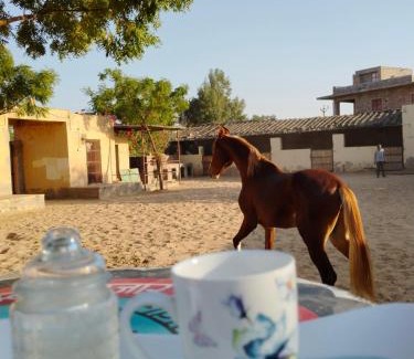 Rohet Hotel | Rawla Anand Rohet
