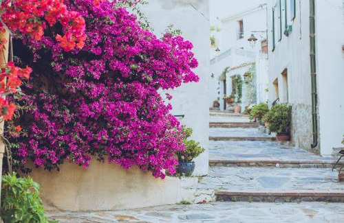 Banyuls-sur-Mer House | Regina's Banyuls - Town house close to beach