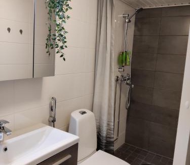 Rovaniemi Apartment | Reindeer Route Apartment