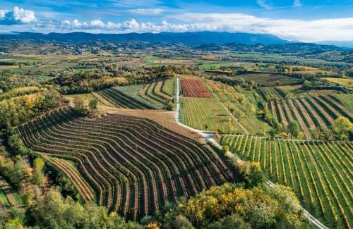Capriva del Friuli House | Relais Russiz Superiore