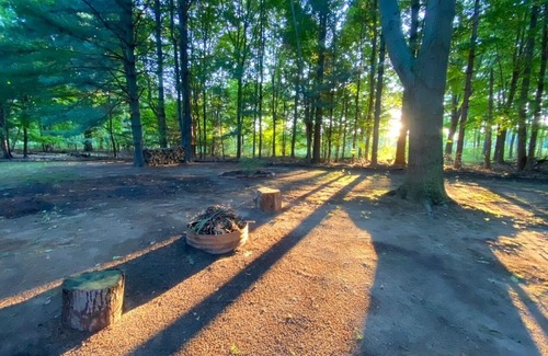 South Haven Cabin | Renovated cabin/beach access/1+ acre of woods