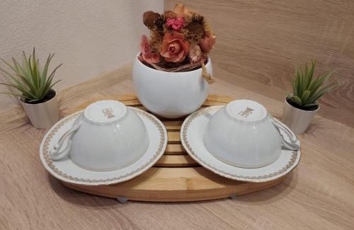 Mulhouse Apartment | Residence du Vieux Chateau jardin & parking gratuit