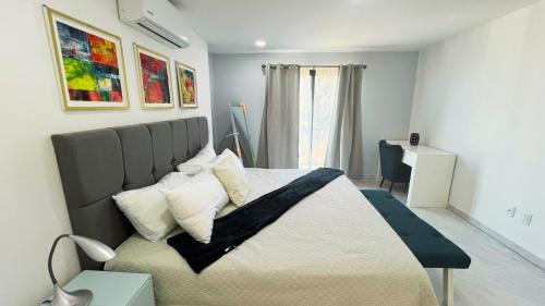 Los Cabos Hotel | Residences by MP Cabo San Lucas