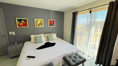 Los Cabos Hotel | Residences by MP Cabo San Lucas
