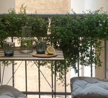 Centrs Apartment | Residential Barona Apartments in Riga Centre