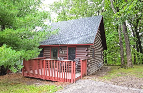 Wisconsin Dells Cabin | Revitalizing, Christmas Mountain Village, 2 Bedroom Cabin