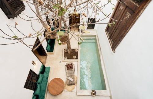 Medina House | RIAD Ylha MARRAKECH