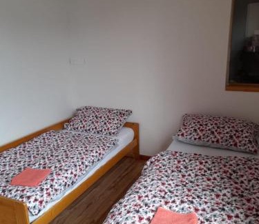Ceske Budejovice Apartment | Riegrova