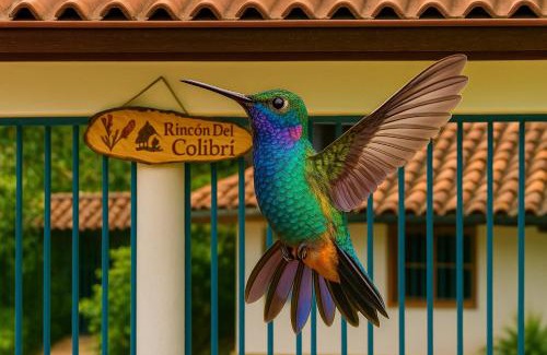 La Vega House | Rincón del Colibrí