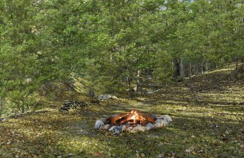 Great Cacapon Ski Chalet | River Access Loft Deck WiFI & Pet Friendly