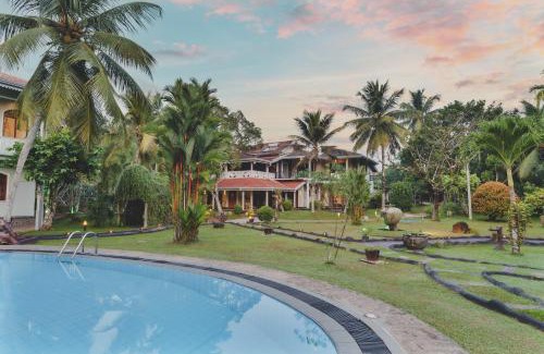 Darga Town Cabin | River View Villas