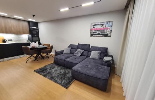Vilnius city municipality Apartment | Riverside Retreat Near City