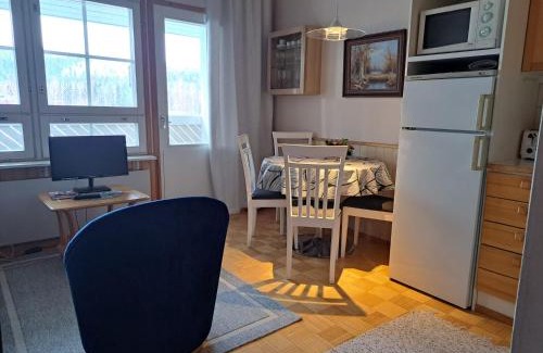 Tahkovuori Apartment | Rivitalon huoneisto Tahkolla