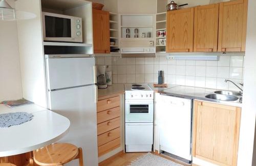 Tahkovuori Apartment | Rivitalon huoneisto Tahkolla