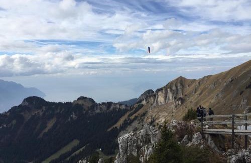 Leysin Apartment | Roc d'Orsay E51