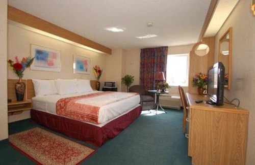 Willington Hotel | Rodeway Inn Willington North