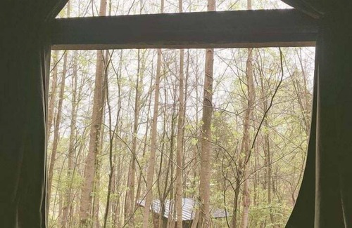 West Baden Springs RV Rental | Romantic Escapes with Dinner Included in Cozy Nests for Glamping in West Baden Springs, Indiana