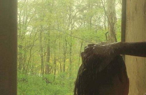 West Baden Springs RV Rental | Romantic Escapes with Dinner Included in Cozy Nests for Glamping in West Baden Springs, Indiana
