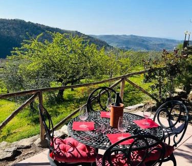 Lamole Apartment | Romantic Tuscan Barn with Pool Views Private Terrace Sleeps 2 to 6, Lamole Greve in Chianti