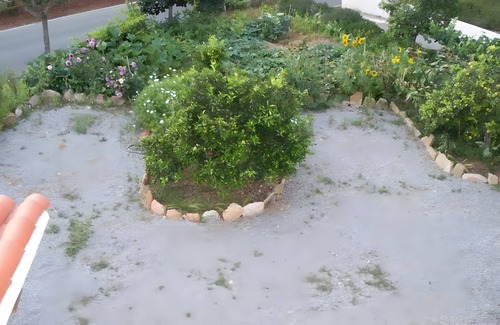 Es Figueral Beach Apartment | Room 'Doble - 5' with Mountain View, Wi-Fi and Air Conditioning
