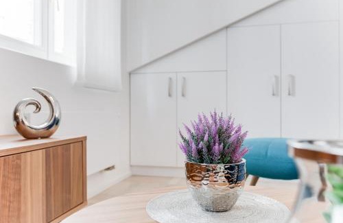 Nove Mesto Apartment | Royal Residence Apartments in the Heart of Prague