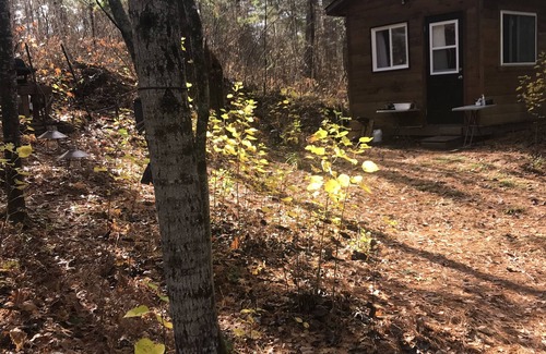 Greater Madawaska Cabin | Rustic Retreat - Private camping, small lake, cabin for sleeping.