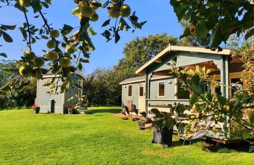 Trelil Other | Safari Cornwall