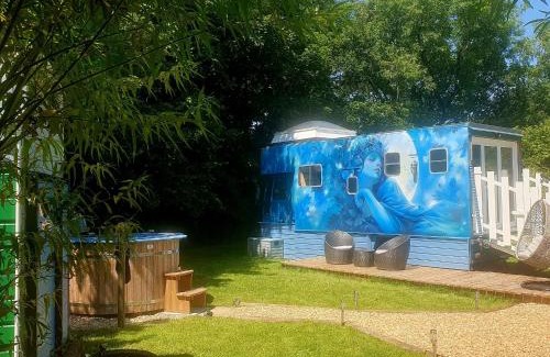 Trelil Other | Safari Cornwall
