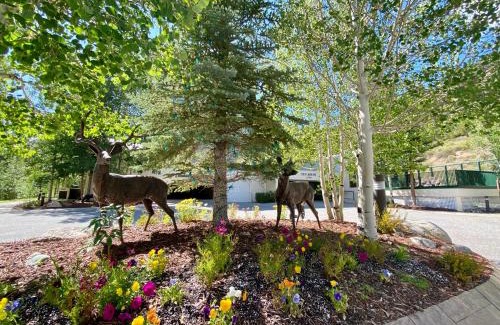 Keystone House | Saints John 2505 by SummitCove Lodging