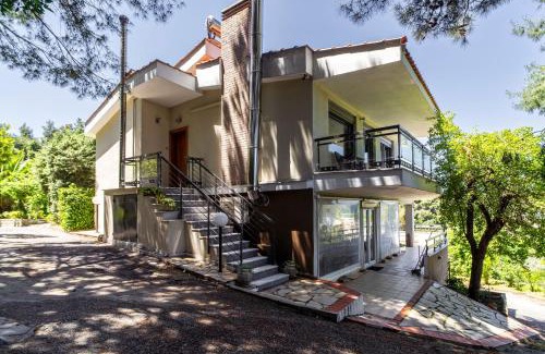 Kriopigi House | Salty Pines Villa