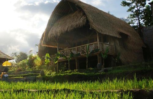 Sidemen Resort | Samanvaya - Adults Only