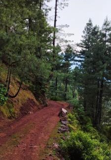 Dhirkot Hotel | Samsara Hill View Resort