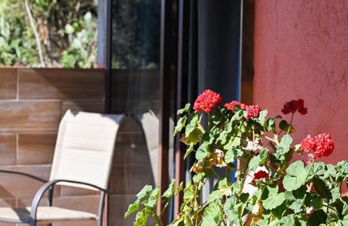 San Jose del Pacifico Apartment | San José del Pacífico- Cabañas Camino al Cielo 5